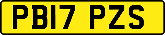 PB17PZS