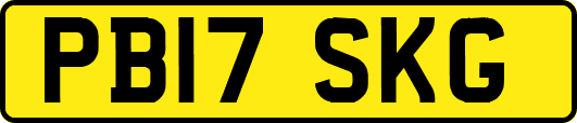 PB17SKG
