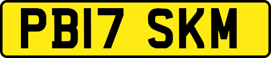 PB17SKM