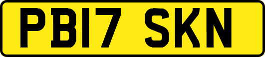 PB17SKN