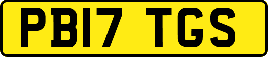 PB17TGS
