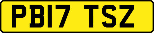 PB17TSZ