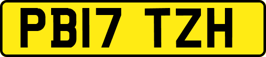 PB17TZH