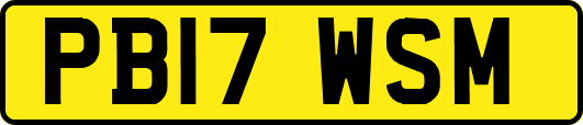 PB17WSM
