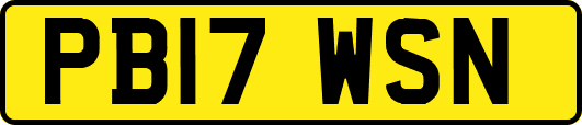 PB17WSN
