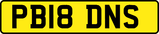 PB18DNS
