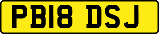 PB18DSJ
