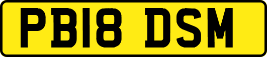 PB18DSM