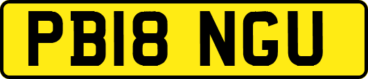 PB18NGU
