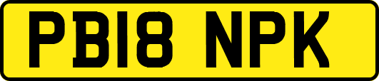PB18NPK