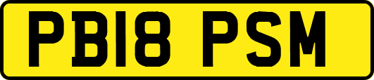 PB18PSM