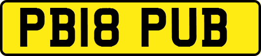 PB18PUB