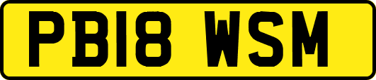 PB18WSM