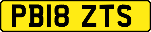 PB18ZTS