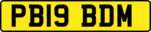 PB19BDM
