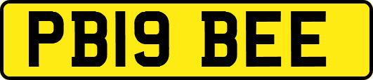 PB19BEE