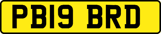 PB19BRD