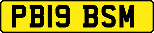 PB19BSM