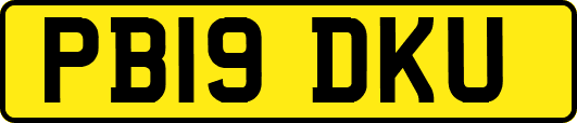 PB19DKU
