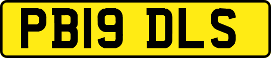 PB19DLS
