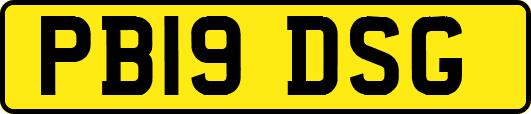 PB19DSG
