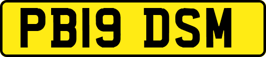 PB19DSM