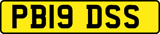 PB19DSS