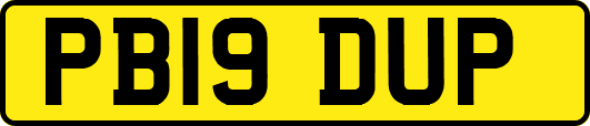 PB19DUP