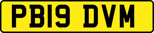 PB19DVM