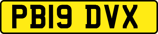 PB19DVX