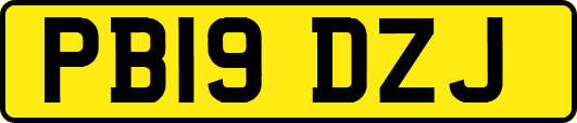 PB19DZJ