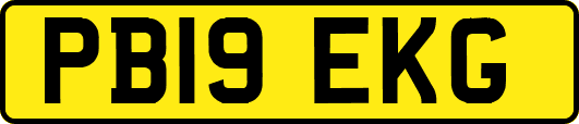 PB19EKG