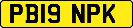 PB19NPK