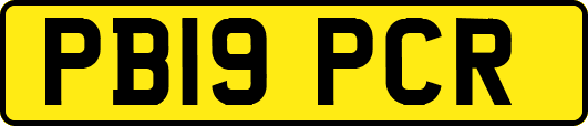 PB19PCR