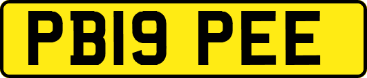 PB19PEE