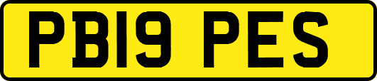 PB19PES