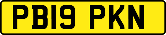 PB19PKN