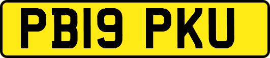 PB19PKU