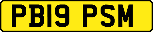 PB19PSM