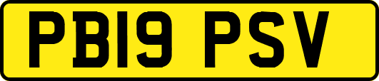 PB19PSV