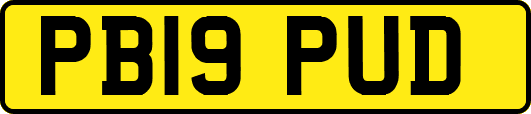 PB19PUD