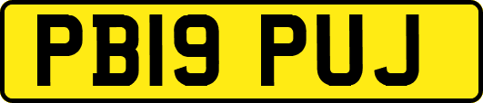 PB19PUJ