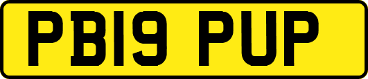 PB19PUP