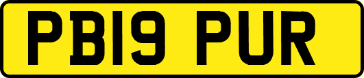 PB19PUR