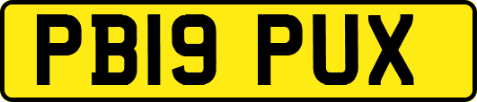 PB19PUX