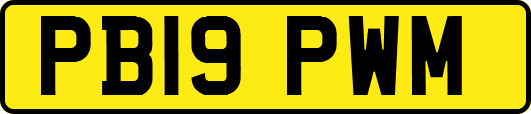 PB19PWM