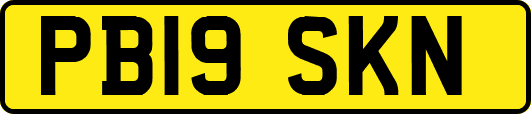PB19SKN