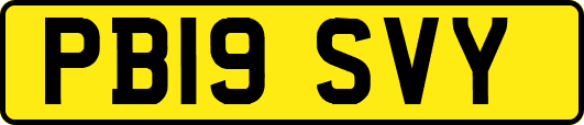 PB19SVY