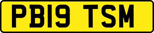 PB19TSM