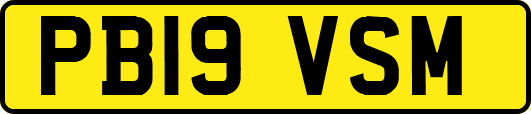 PB19VSM